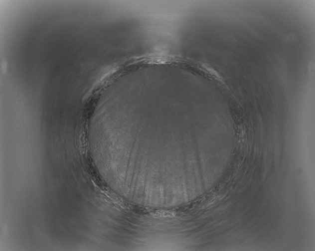 X0000062631446200601041019