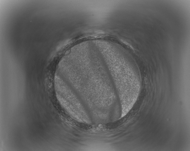 X0000062631447200601041019