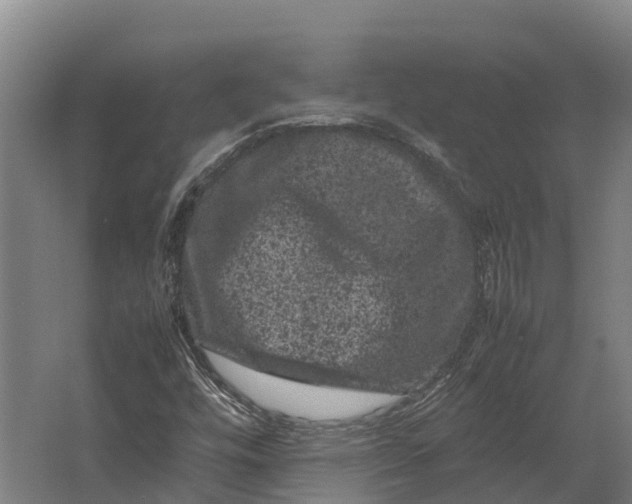 X0000062631448200601041019