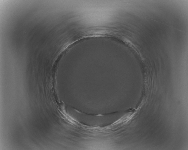 X0000062631449200601041019