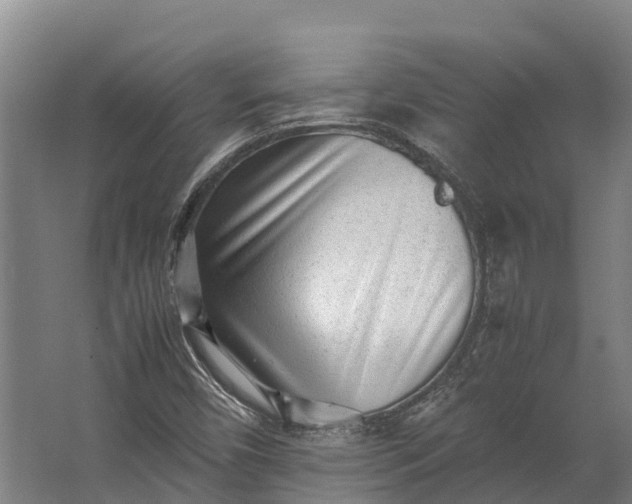 X0000062631450200601041019