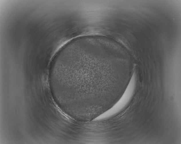 X0000062631452200601041019