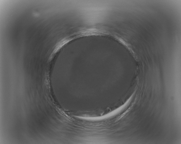 X0000062631453200601041019