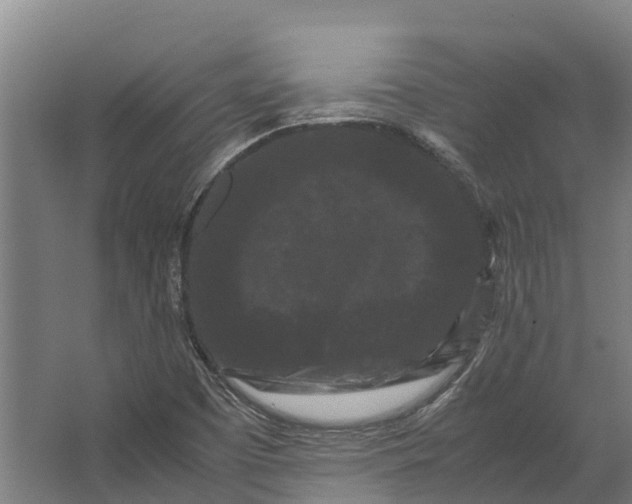 X0000062631457200601041019