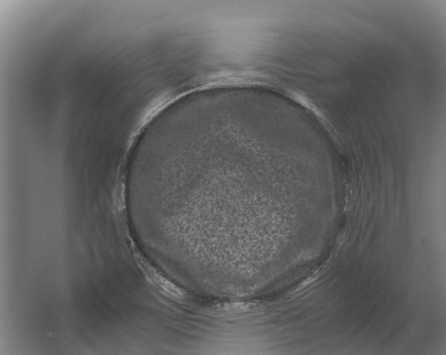 X0000062631459200601041018