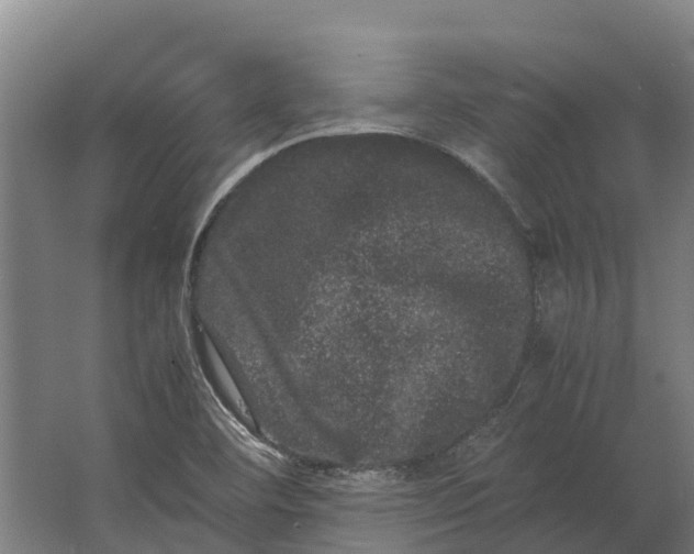 X0000062631460200601041018