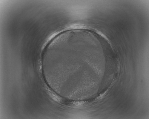 X0000062631461200601041018