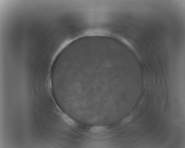 X0000062631462200601041018