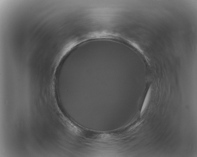 X0000062631463200601041018