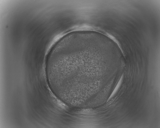 X0000062631464200601041018