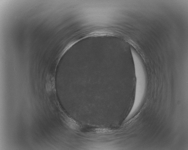 X0000062631465200601041018