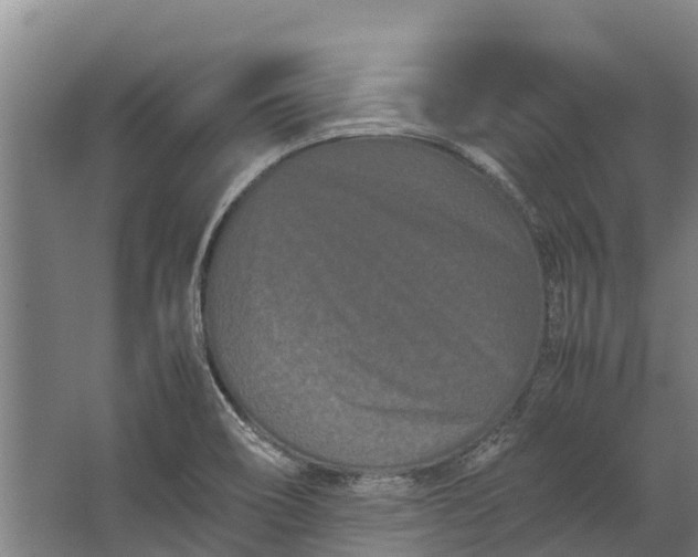 X0000062631466200601041018