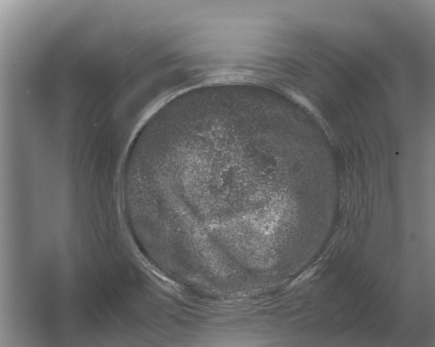 X0000062631467200601041018