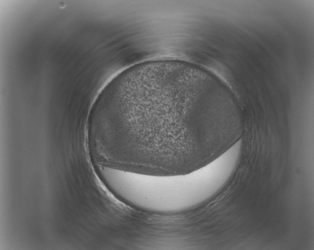 X0000062631468200601041018