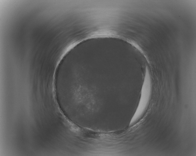 X0000062631469200601041018