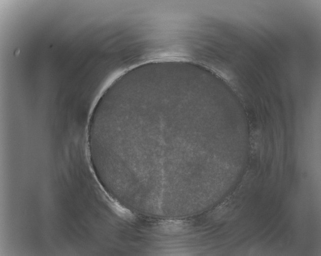 X0000062631470200601041018