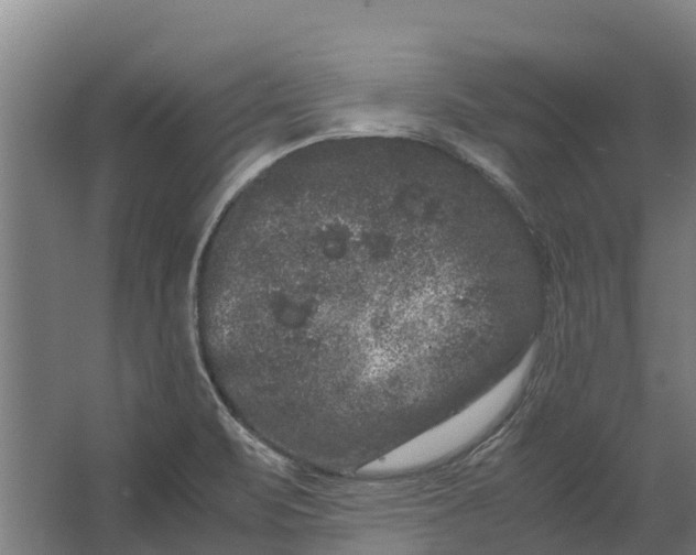 X0000062631471200601041018