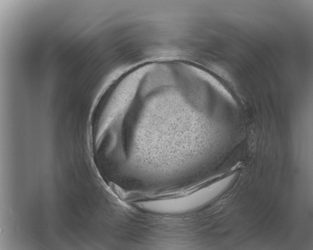 X0000062631472200601041018