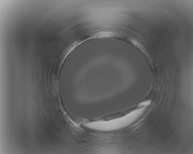 X0000062631473200601041018