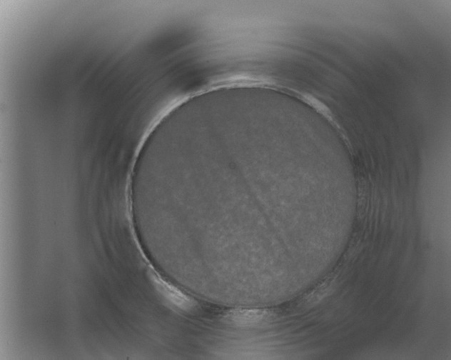 X0000062631474200601041018