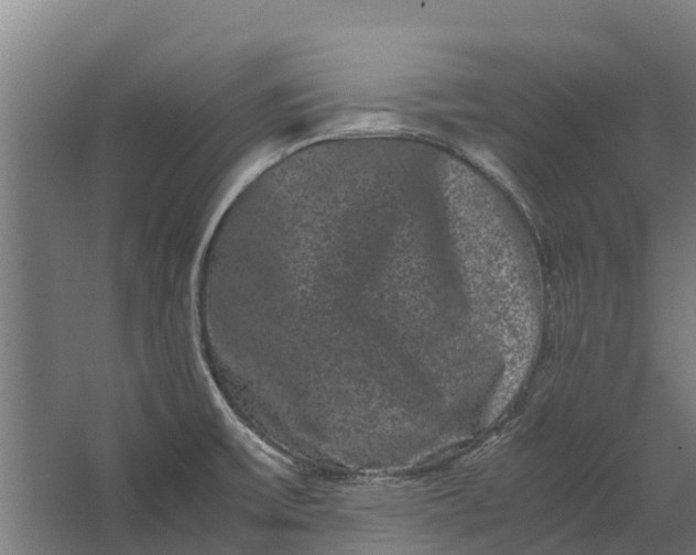 X0000062631475200601041018