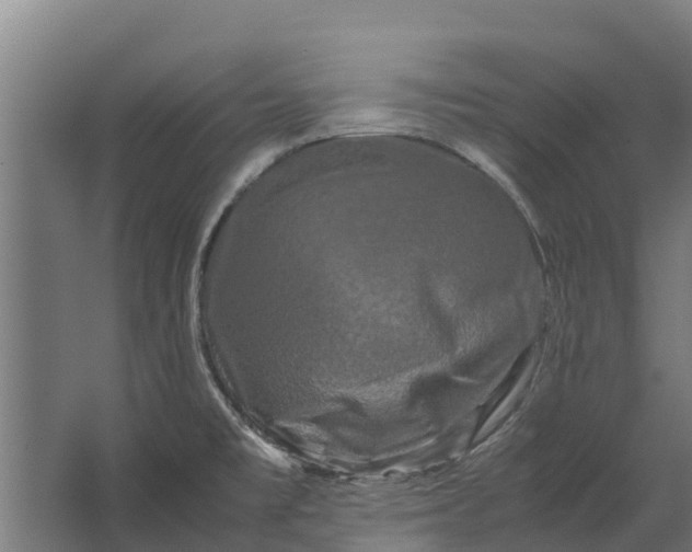 X0000062631477200601041018