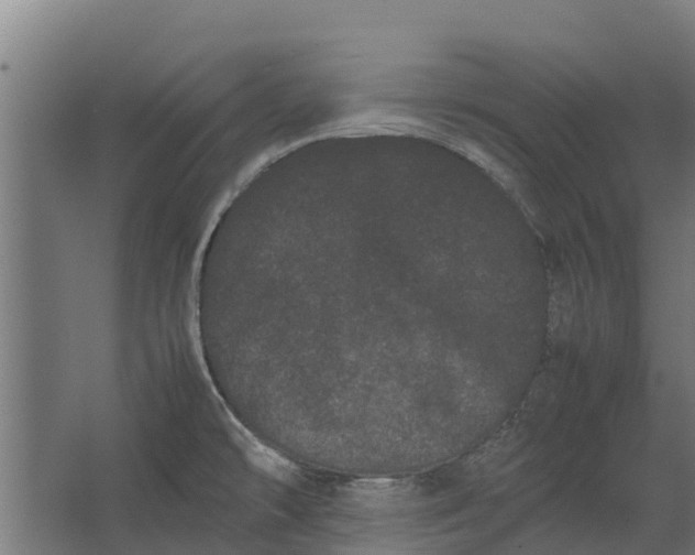 X0000062631478200601041018