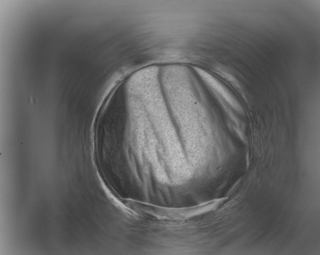 X0000062631479200601041018