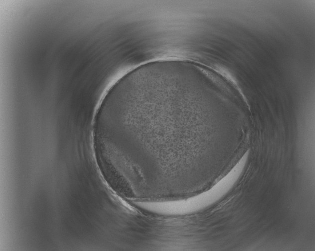 X0000062631480200601041018