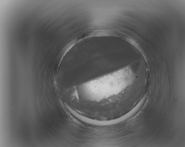 X0000062631481200601041018