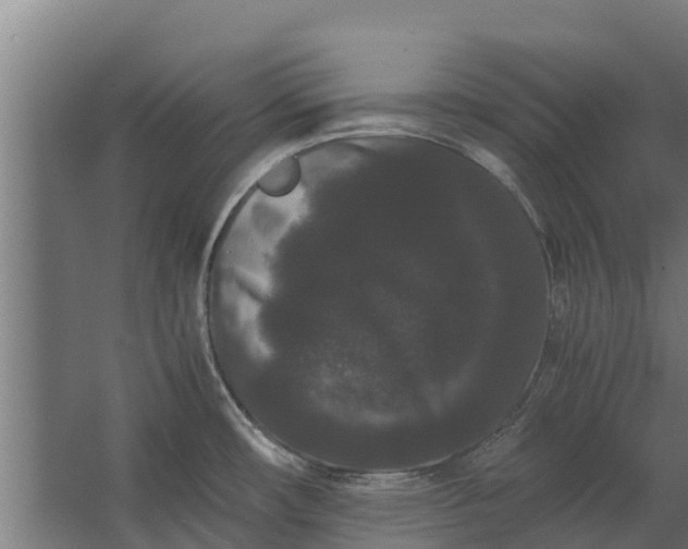 X0000062631482200601041018