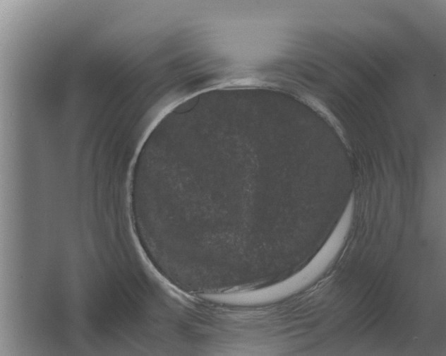 X0000062631483200601041018