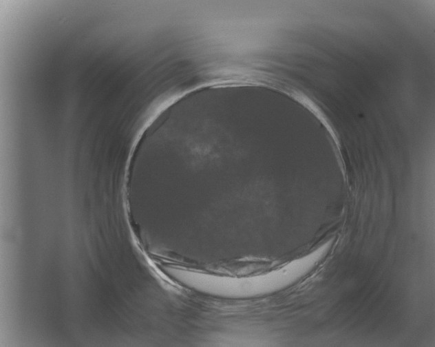 X0000062631485200601041018