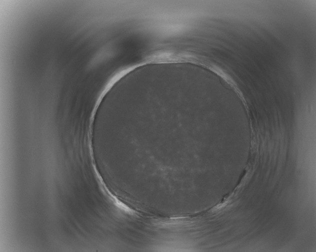 X0000062631486200601041018