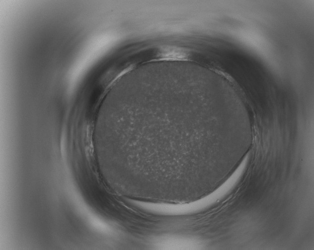 X0000062631487200601041018