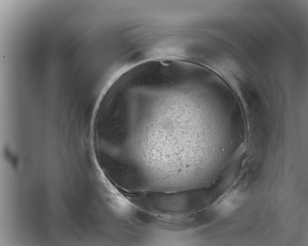 X0000062631488200601041018