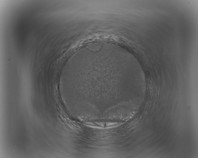 X0000062631489200601041017