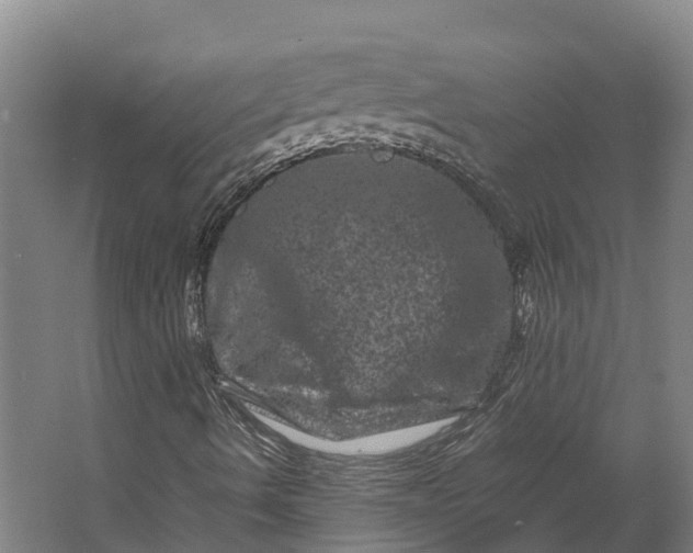 X0000062631490200601041017