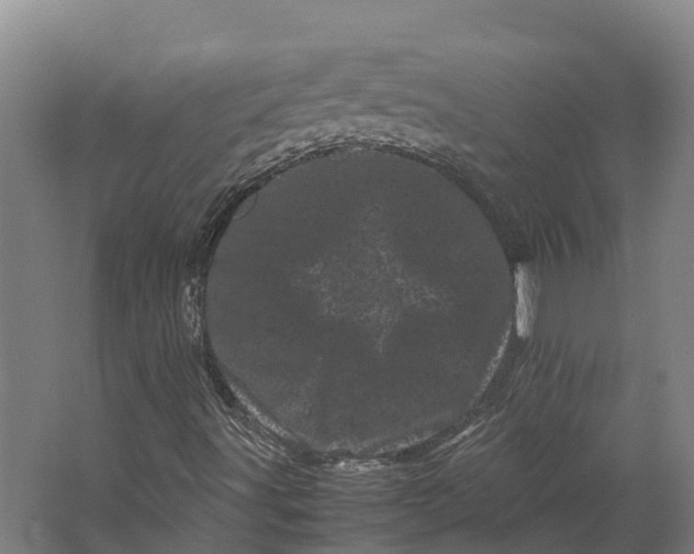 X0000062631491200601041017