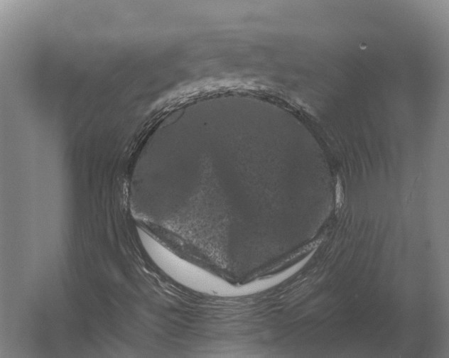 X0000062631492200601041017