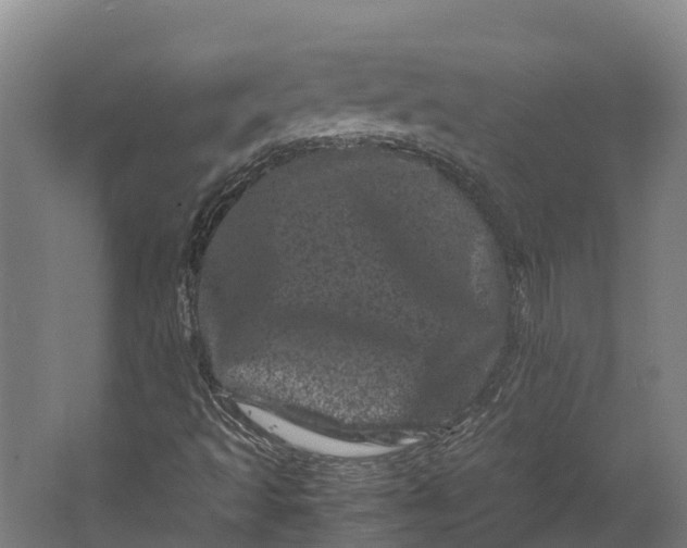 X0000062631493200601041017