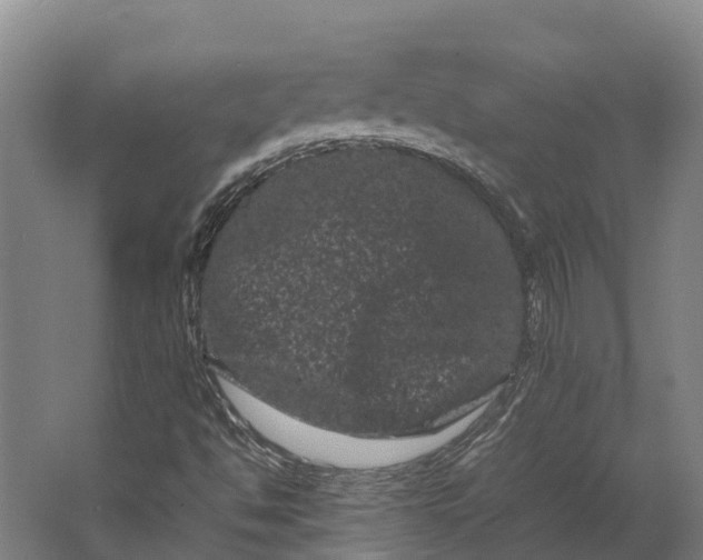 X0000062631494200601041017