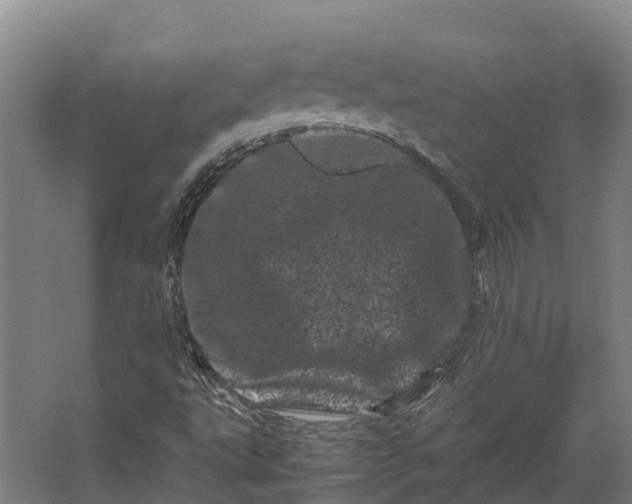 X0000062631495200601041017