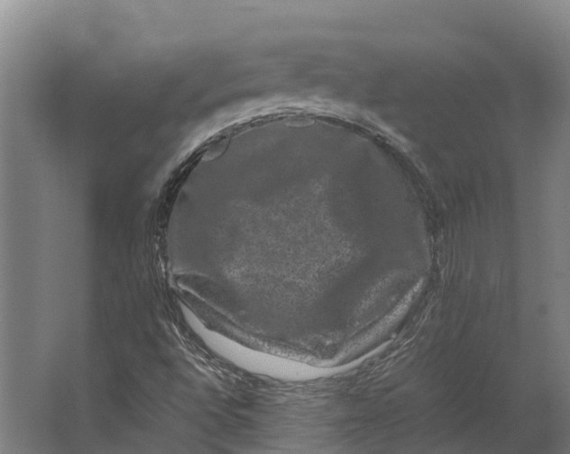 X0000062631496200601041017