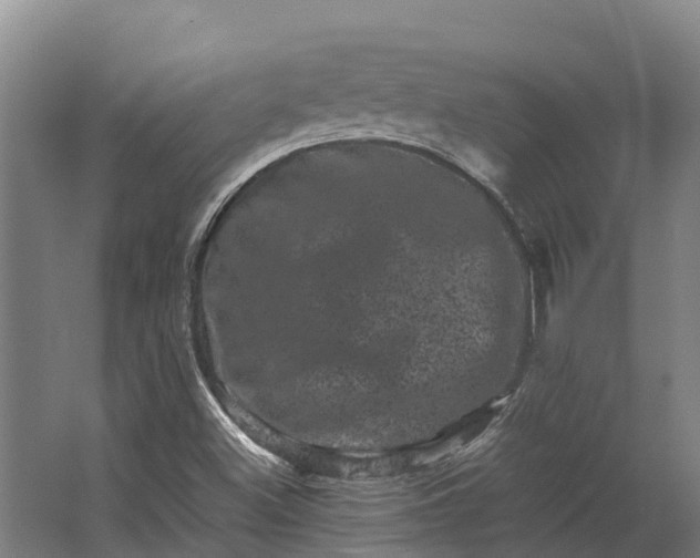 X0000062631500200601041017