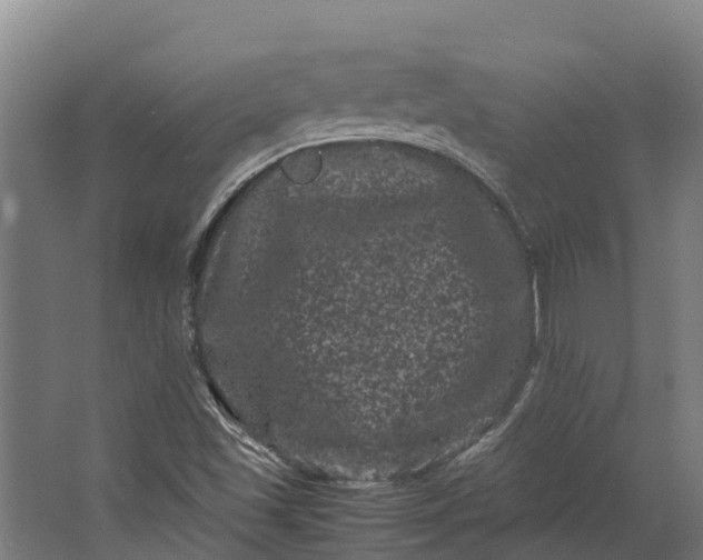 X0000062631501200601041017