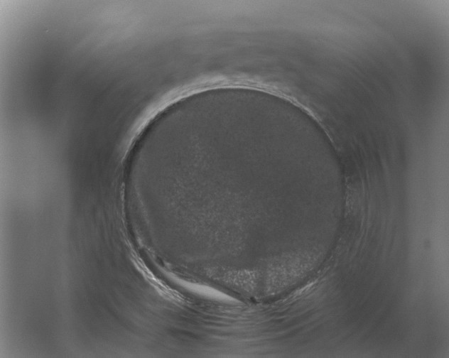 X0000062631503200601041017