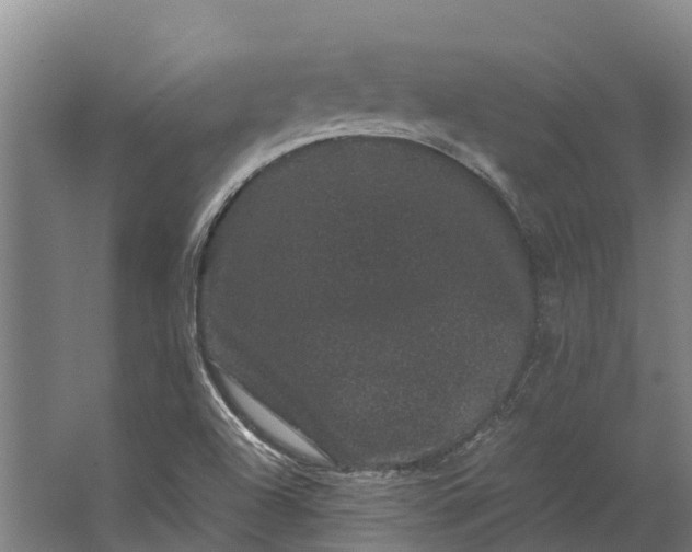 X0000062631504200601041017