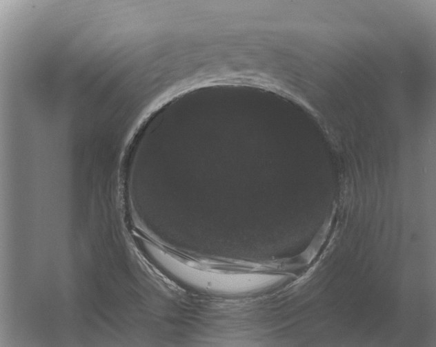 X0000062631506200601041017