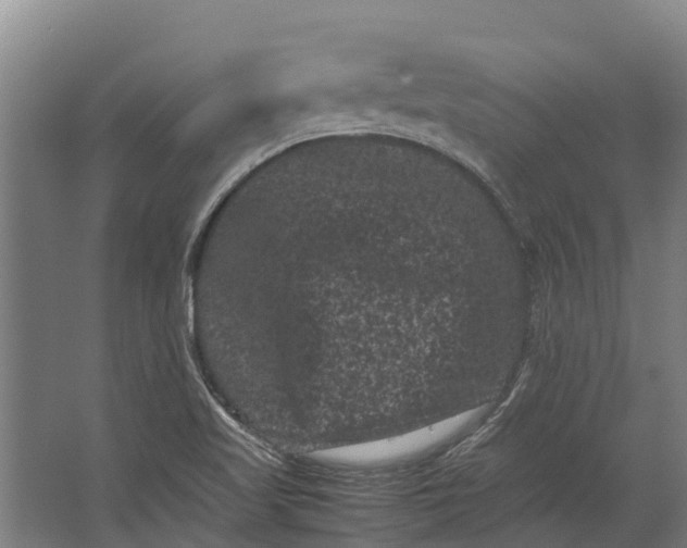 X0000062631509200601041018